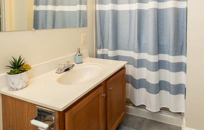Guest bathroom with a sink, mirror and tub shower at Woodridge Apartments in Randallstown, MD 21133.