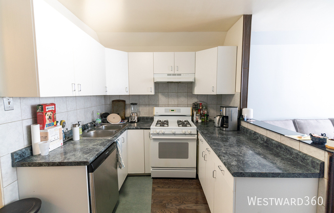 1019 N PAULINA