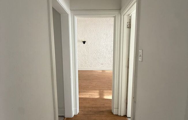 Studio, 1 bath, 308 sqft, $1,175, Unit Bayard Manor 207