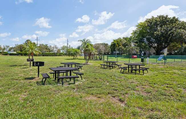 a group of picnic tables in a park