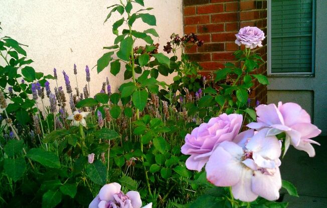 GRAND ISLAND PLACE !!!  SEVEN OAKS -