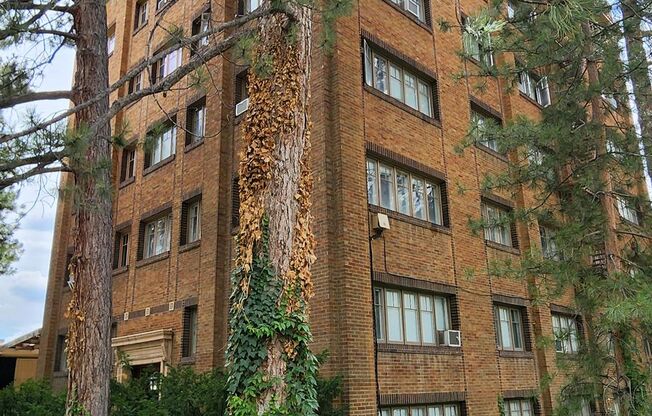 Studio, 1 bath, 150 sqft, $795, Unit 4