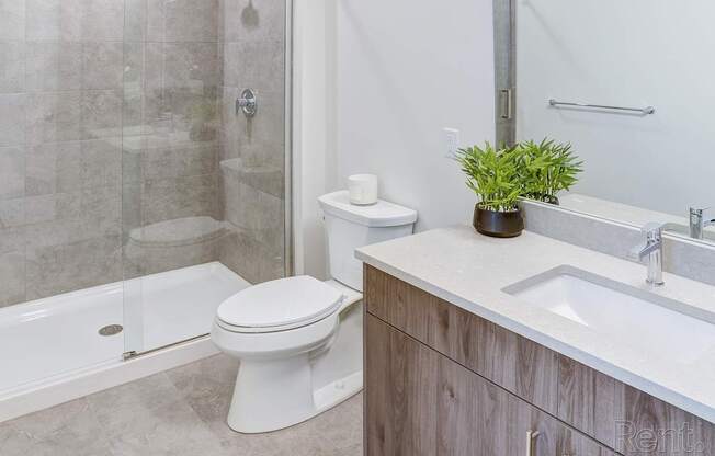 A white toilet sits next to a walk-in shower in a bathroom.