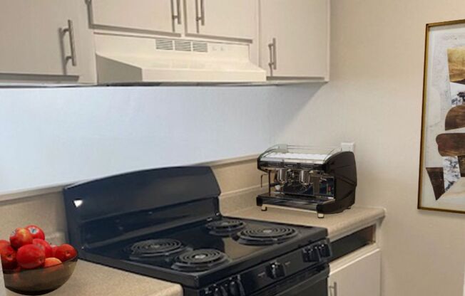1 bed, 1 bath, 440 sqft, $1,200, Unit 1310-109