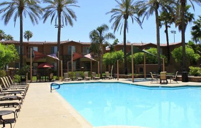 pool with palm tress