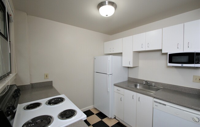 Studio, 1 bath, 405 sqft, $1,295, Unit 205