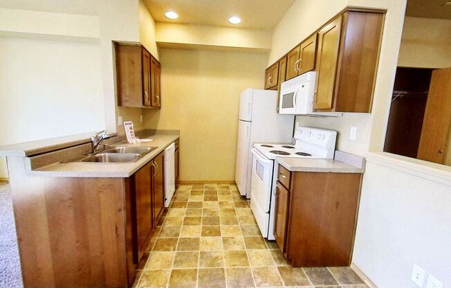 Studio, 1 bath, 542 sqft, $1,595, Unit 407