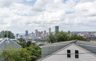 AVAILABLE JUNE - THE BEST VIEWS IN THE BURGH!! 3 Bedroom/1 bath