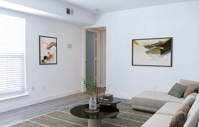 a living room with white walls and a gray rug