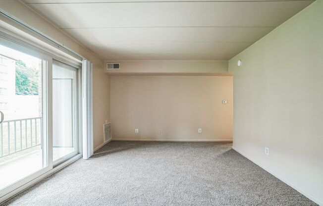 1 bed, 1 bath, 704 sqft, $1,450, Unit A12