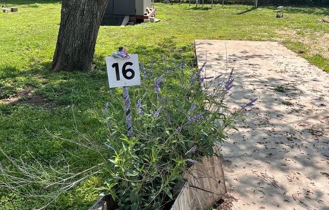 1641 TX
