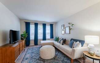 A living room with a couch, a television, and a rug.