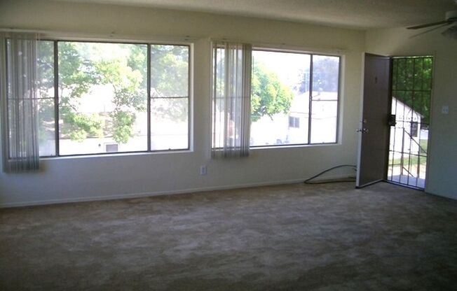 Memorial Apartments- Super Clean 1 Bedroom 1 Bath Apartment in Memorial Heights