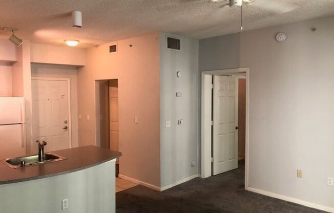 Beautiful 1/1 condo with great amenities
