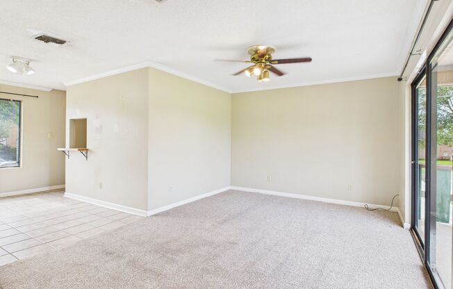 307 Cougar Ridge
