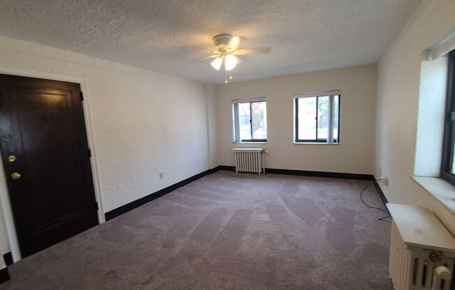 Princess Ann Associates