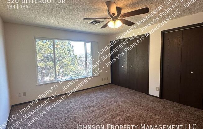 320 BITTEROOT DR