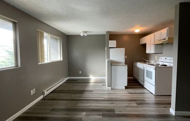 Studio, 1 bath, $800, Unit 53