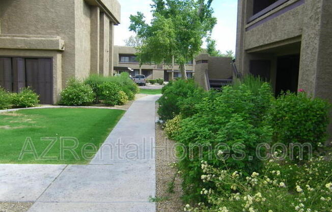 3535 W. Tierra Buena Lane