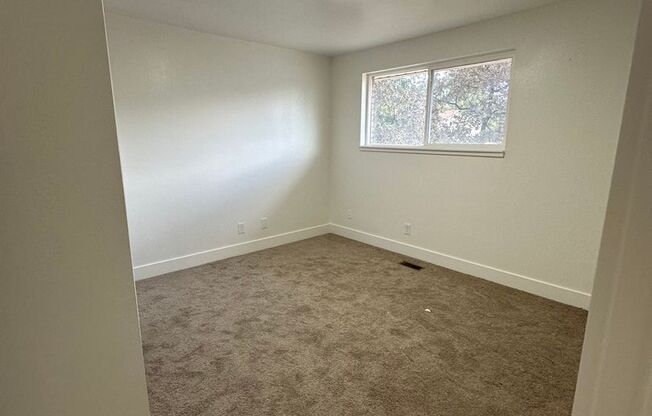 2 beds, 1 bath, $1,300