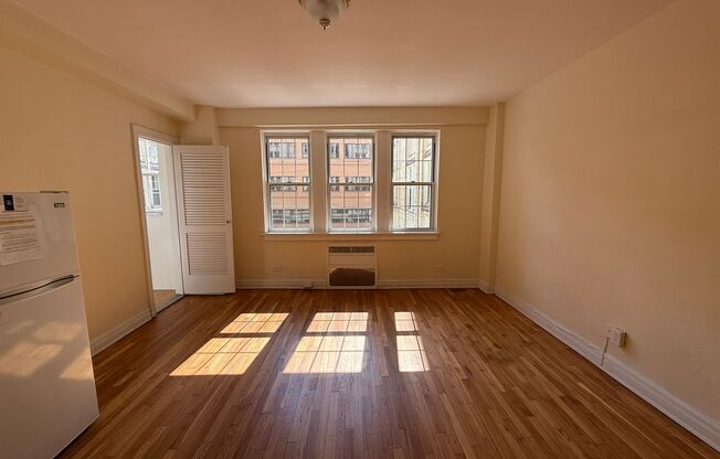 Studio, 1 bath, 294 sqft, $1,365, Unit New King Edward  3A3