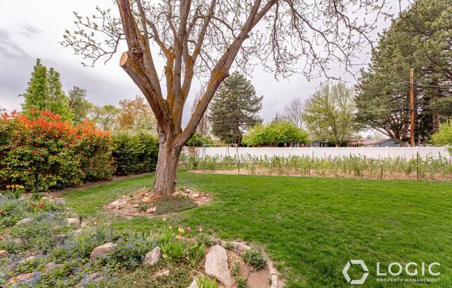 Beautiful Home in Prime Location!