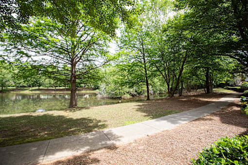 A pathway in a park with trees on both sides.