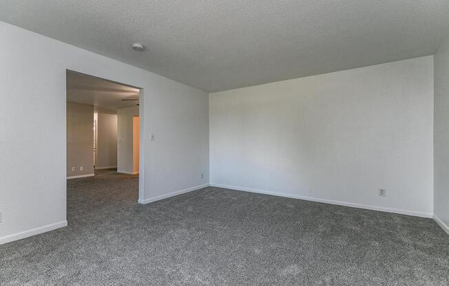 Open Carpeted Room