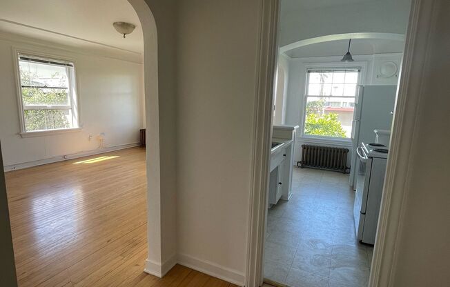 Studio, 1 bath, 387 sqft, $1,595, Unit 303