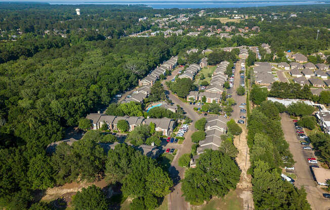 Pear Orchard Aerial
