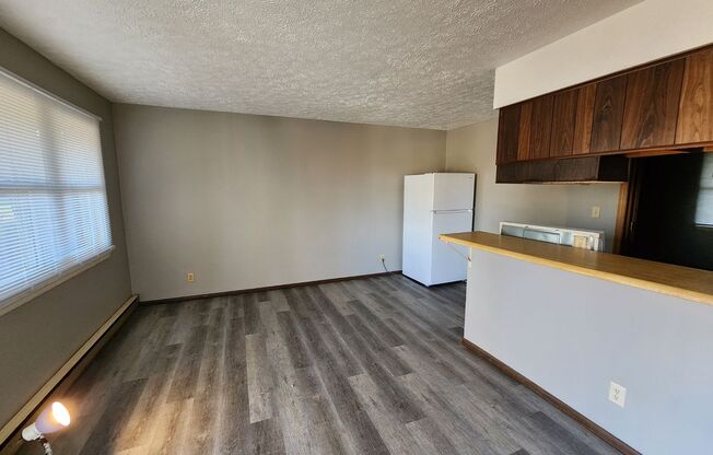 1 bed, 1 bath, 500 sqft, $900, Unit 10