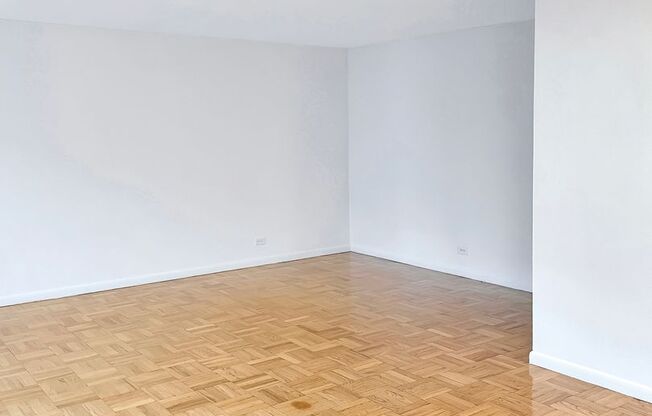 Studio, 1 bath, 502 sqft, $4,355, Unit 15A