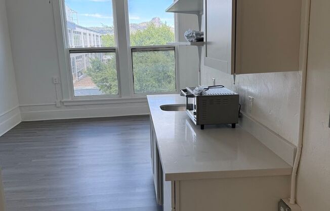 Studio, 1 bath, 250 sqft, $1,195, Unit 300
