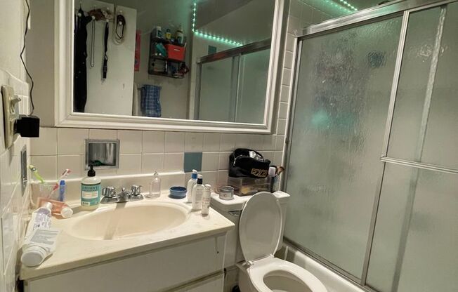 Studio, 1 bath, 390 sqft, $1,400, Unit 521-307