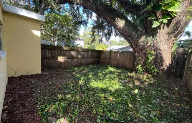 2 Bedroom, 1 Bathroom Renovated Half Duplex with Private, Fenced Backyard