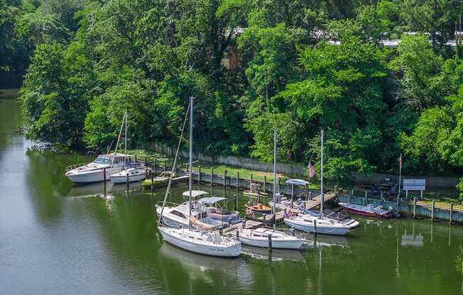 A marina filled with boats and trees in the background.