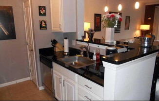 903 Providence Place – Luxury Condo - $2,095