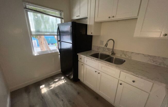 Studio, 1 bath, 350 sqft, $1,500, Unit 207