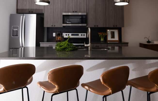 a kitchen with a counter and chairs and a refrigerator at The Lady, Columbia, 29201