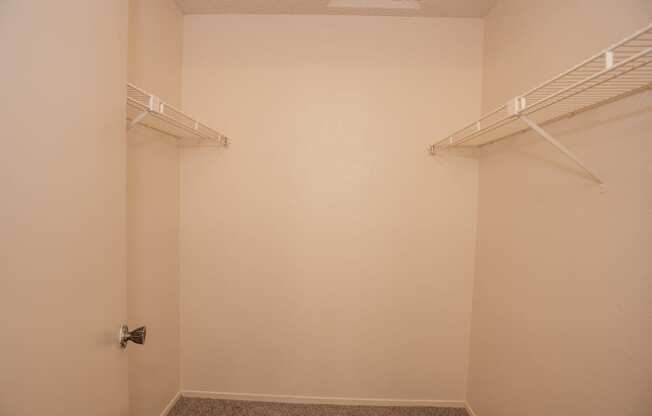 Delta Pointe Trimaran 3x2 vacant primary bedroom walk in closet