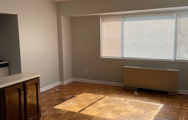 Spacious Studio Apartment in Cleveland Park