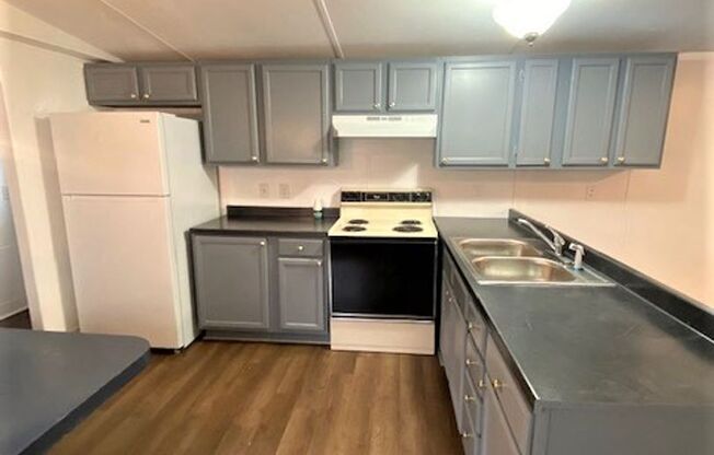 Matthews - 100% Remodeled, 2 Bedroom Home!