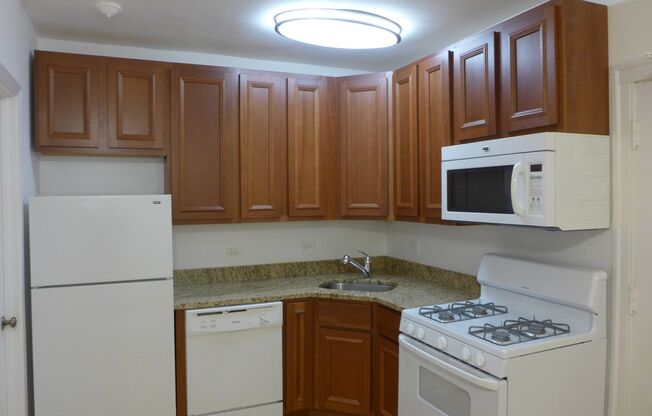 Studio, 1 bath, 300 sqft, $1,395, Unit 104