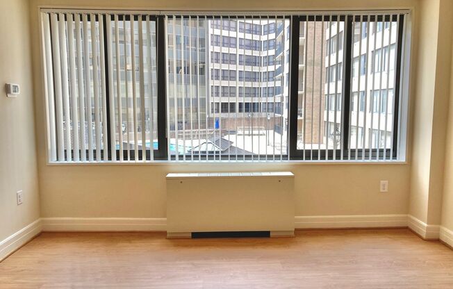 Studio, 1 bath, 440 sqft, $2,150, Unit 0113