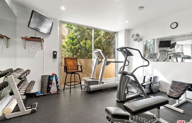 10433 Wilshire Blvd Apt 202