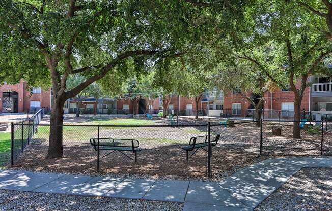A park with a bench and a tree.