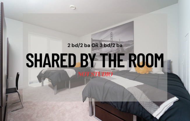 Berkeley's NEWEST Secret Retreat! Experience The Lair! Deluxe Furnished Brand New Apartments! Near UC Berkeley!