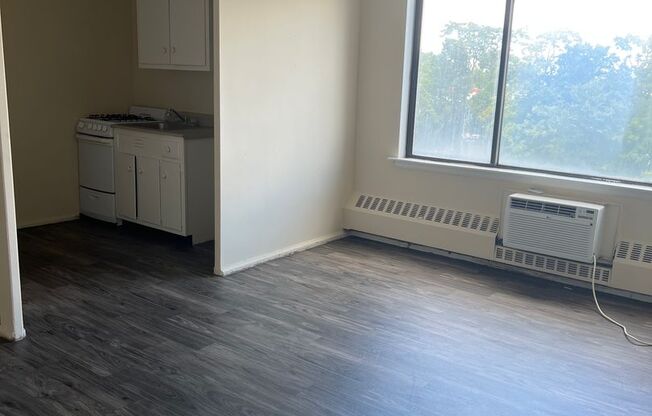 Studio, 1 bath, 400 sqft, $1,100, Unit 525
