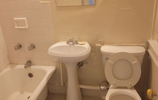 Studio, 1 bath, $795, Unit 106