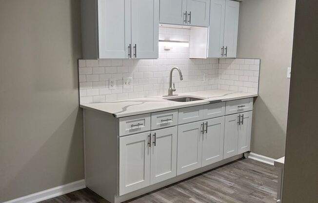 Beautifully Renovated Condo in the Heart of Downtown Rochester